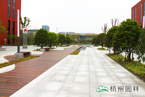 彩运网(中国游)官方网站