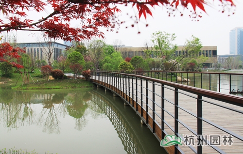 彩运网(中国游)官方网站