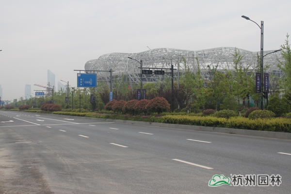 彩运网(中国游)官方网站