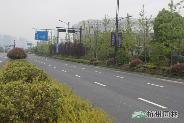 彩运网(中国游)官方网站