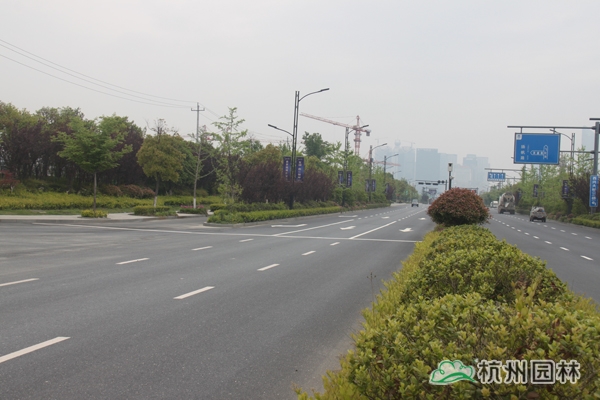 彩运网(中国游)官方网站