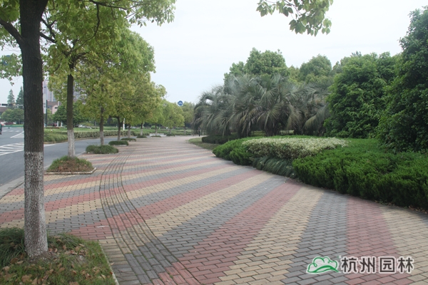 彩运网(中国游)官方网站