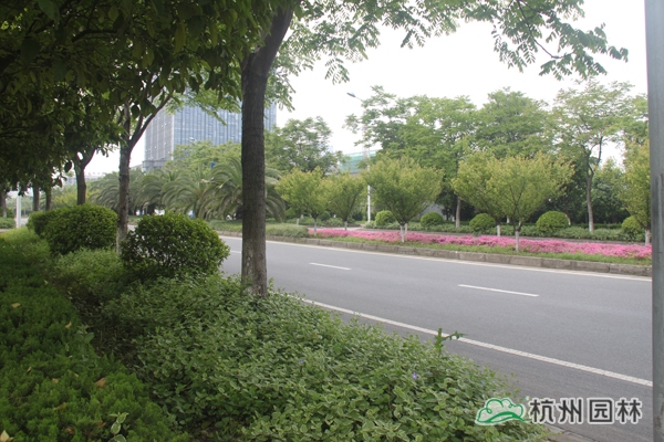 彩运网(中国游)官方网站