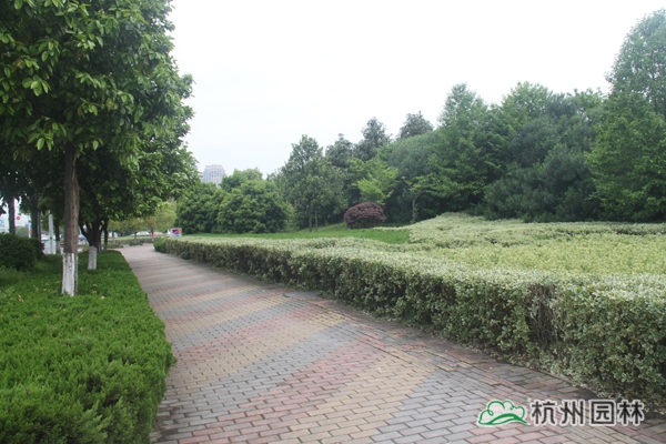 彩运网(中国游)官方网站