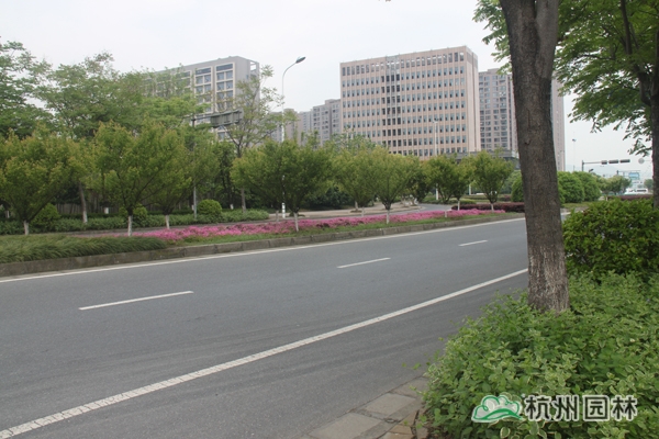 彩运网(中国游)官方网站