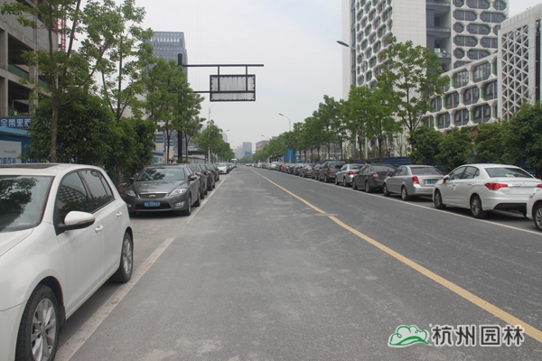 彩运网(中国游)官方网站