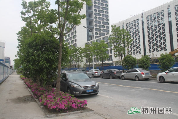 彩运网(中国游)官方网站