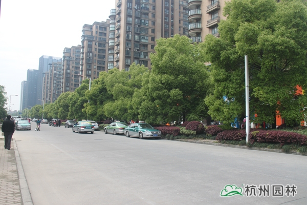 彩运网(中国游)官方网站