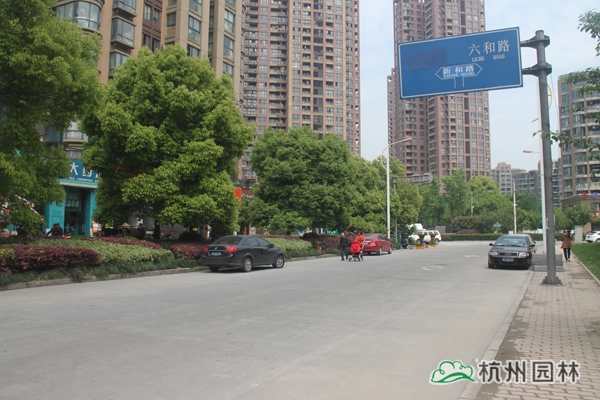 彩运网(中国游)官方网站