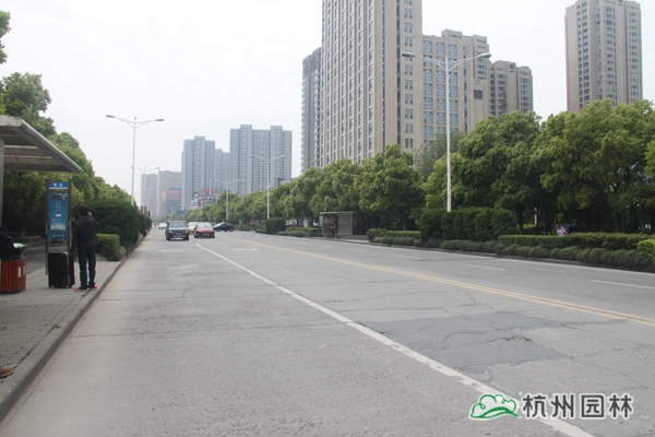 彩运网(中国游)官方网站