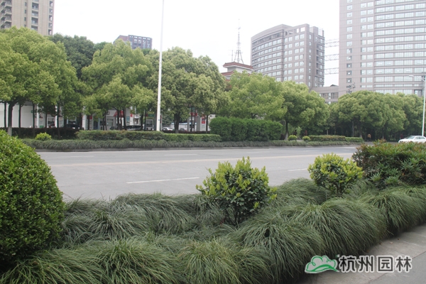 彩运网(中国游)官方网站