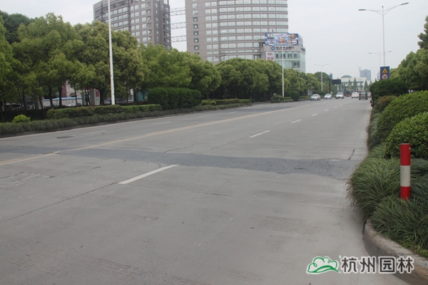 彩运网(中国游)官方网站