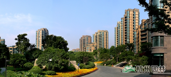 彩运网(中国游)官方网站