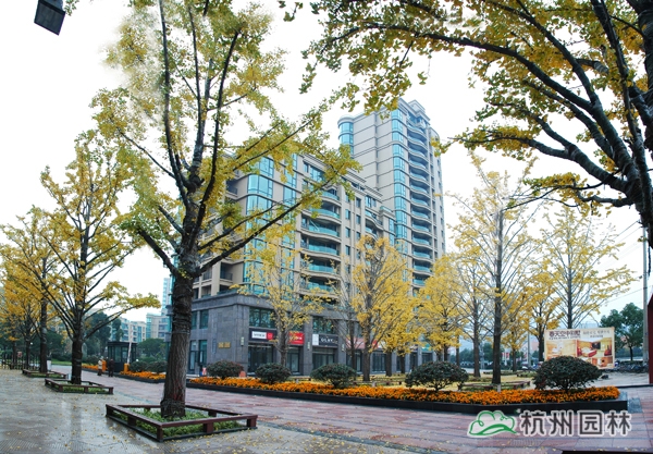 彩运网(中国游)官方网站