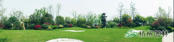 彩运网(中国游)官方网站