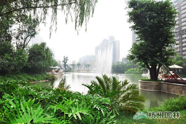 彩运网(中国游)官方网站