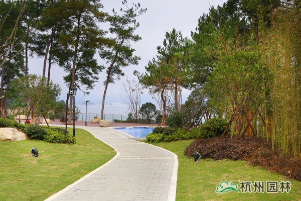 彩运网(中国游)官方网站