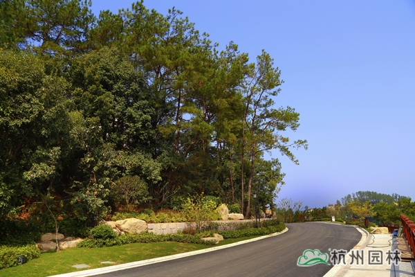 彩运网(中国游)官方网站