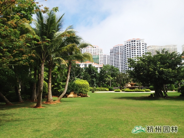 彩运网(中国游)官方网站