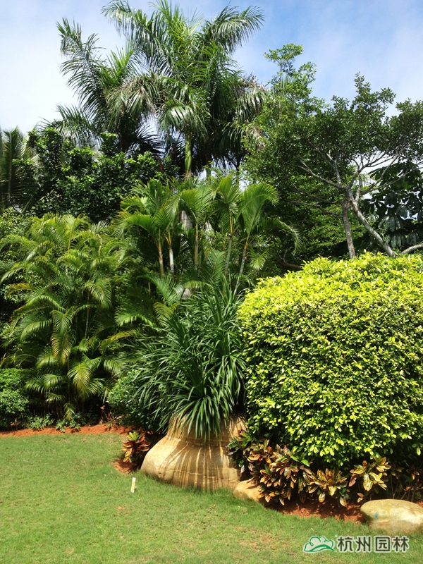 彩运网(中国游)官方网站