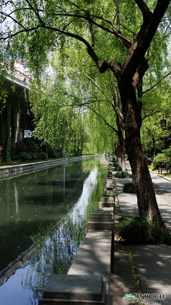 彩运网(中国游)官方网站