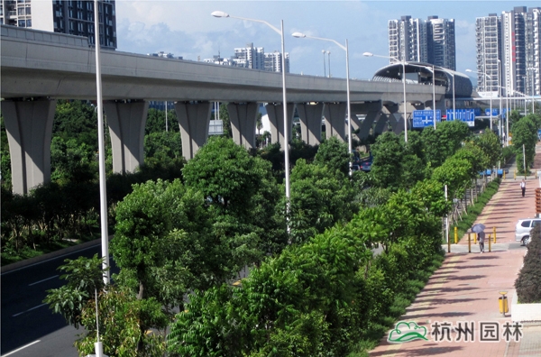 彩运网(中国游)官方网站