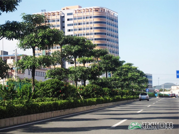 彩运网(中国游)官方网站