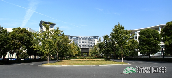 彩运网(中国游)官方网站