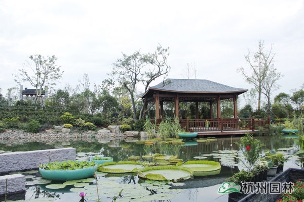 彩运网(中国游)官方网站