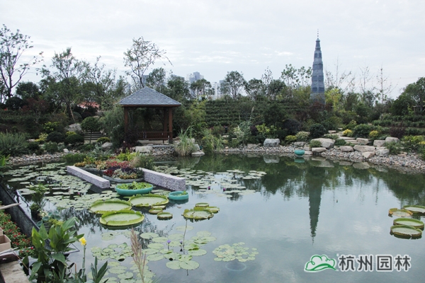 彩运网(中国游)官方网站