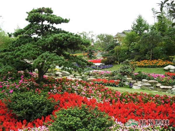 彩运网(中国游)官方网站