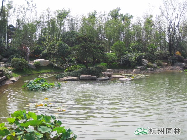 彩运网(中国游)官方网站