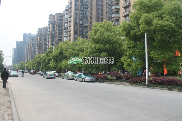 彩运网(中国游)官方网站