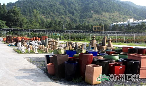 彩运网(中国游)官方网站