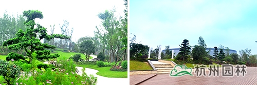 彩运网(中国游)官方网站