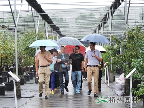 彩运网(中国游)官方网站