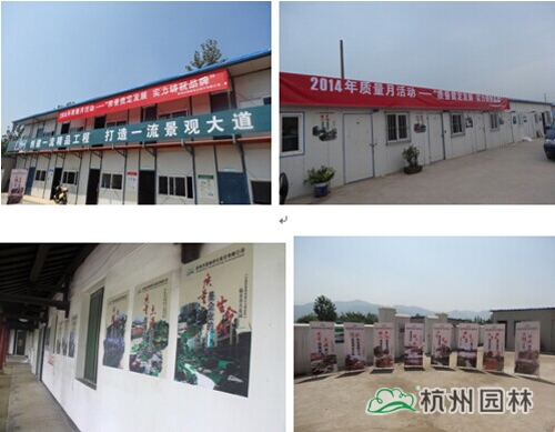 彩运网(中国游)官方网站