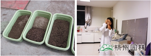 彩运网(中国游)官方网站