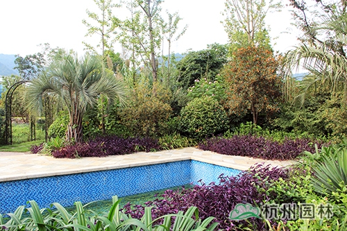 彩运网(中国游)官方网站