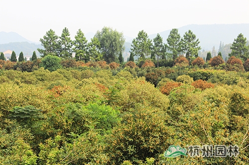 彩运网(中国游)官方网站