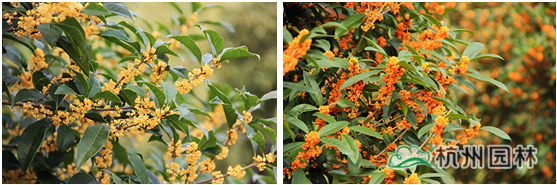 彩运网(中国游)官方网站