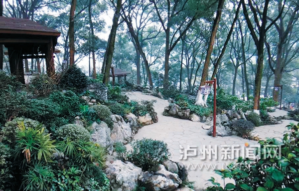 彩运网(中国游)官方网站