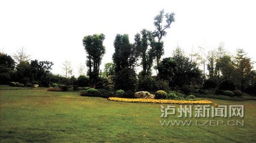 彩运网(中国游)官方网站