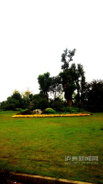 彩运网(中国游)官方网站