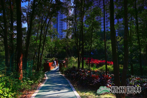 彩运网(中国游)官方网站