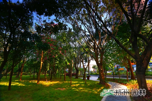 彩运网(中国游)官方网站