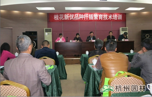 彩运网(中国游)官方网站