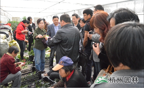 彩运网(中国游)官方网站