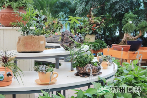 彩运网(中国游)官方网站