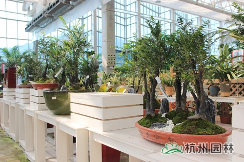 彩运网(中国游)官方网站